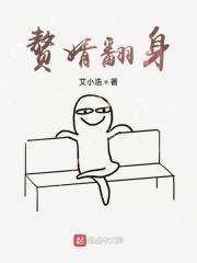 电视连续剧赘婿翻身