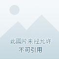 破茧之新生有完结