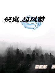 侠岚起风前
