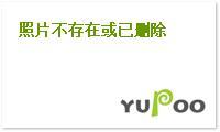 成毅你若盛开清风自来