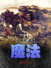 魔法是什么意思啊