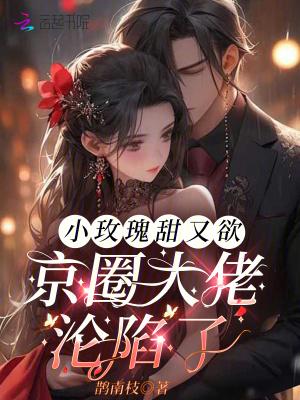 小玫瑰晋江文学城