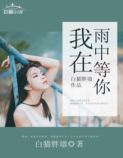 我在雨中等你金句