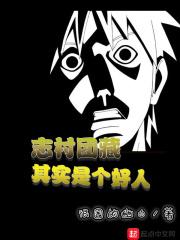 志村团藏的实力